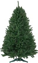 Сосна зеленая KLARA STRZĘPIONA 2,20м 